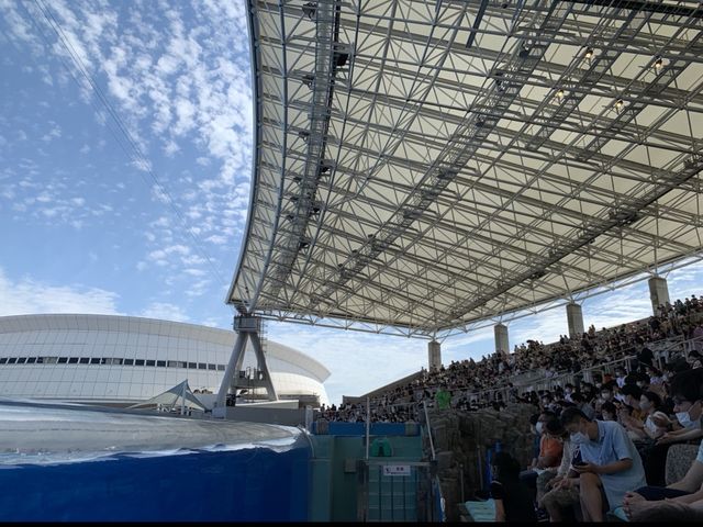 名古屋　広い！凄い！イルカショー❗️