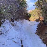 積雪の合戦尾根最後の登り