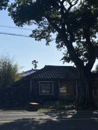 할머니집 같이 포근한 이색숙소 추천 🏡 