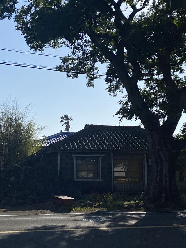 할머니집 같이 포근한 이색숙소 추천 🏡 