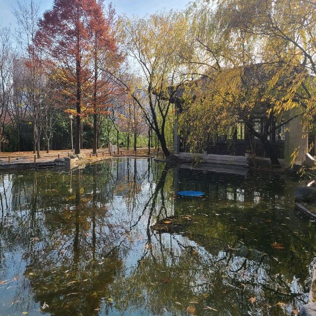 반영사진찍기 좋은 월화원 📸 