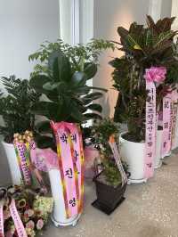 울산 거대 오션뷰 카페! AOP