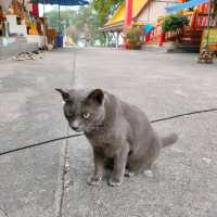 วัดเขาพระบาทพัทยา