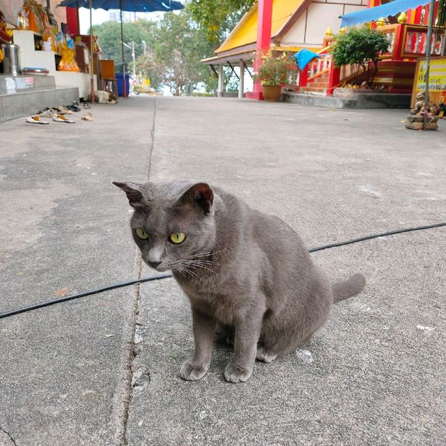 วัดเขาพระบาทพัทยา