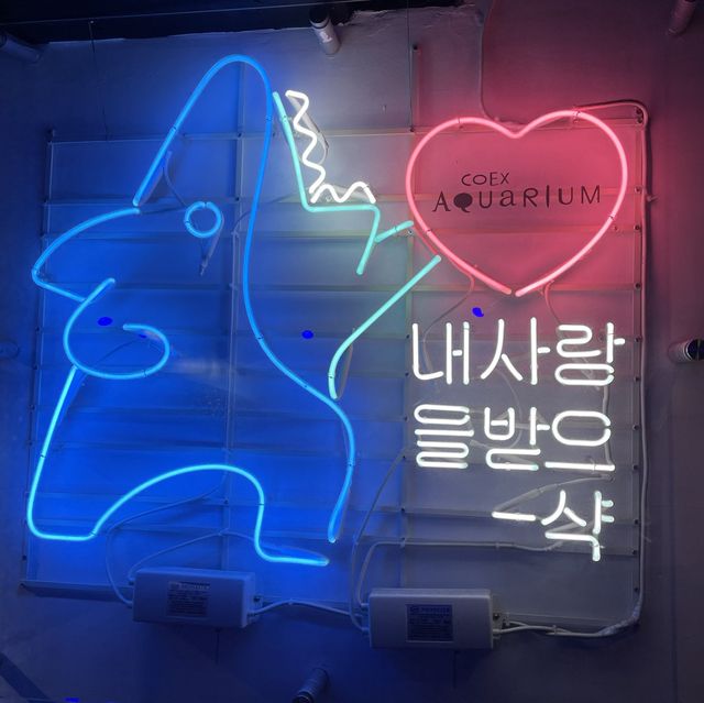 서울 코엑스 가볼만한 곳, 아쿠아리움