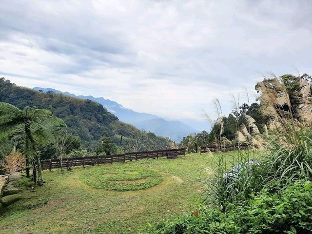 【桃園】復興景點-悠然秘境小屋賞櫻