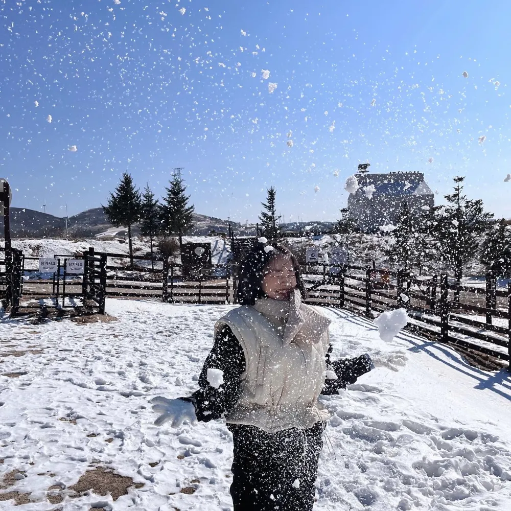 겨울에 가면 더~예쁜 대관령 삼양목장🐑