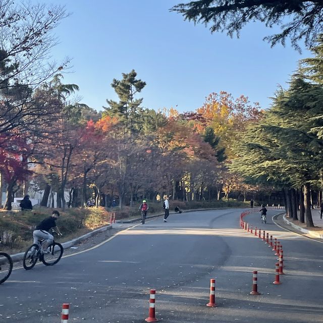 가을에 가장 아름다운 곳 