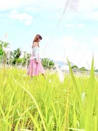 坪輋壁畫村
