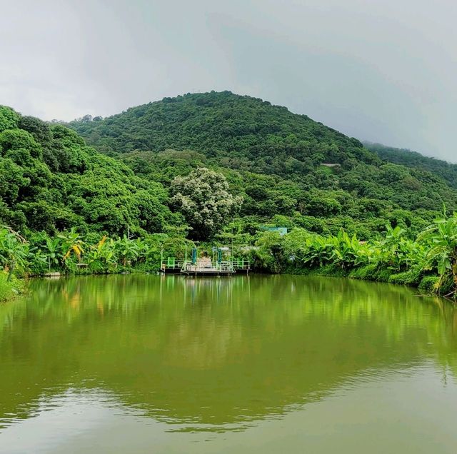 離島好去處 ～ The Hideout 