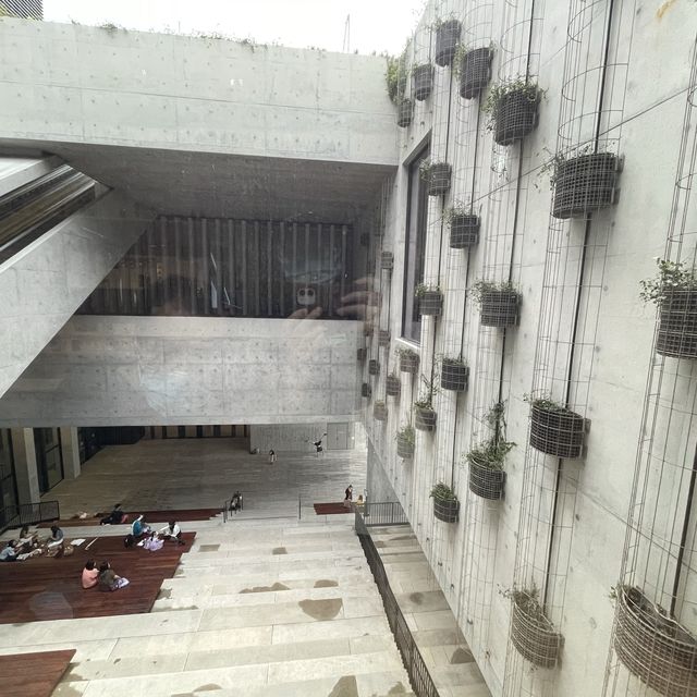 M+博物館 體驗全新視覺文化🤩 M+博物館 體驗全新視覺文化🤩