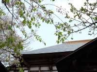 日本東北小京都古色古香《角館》