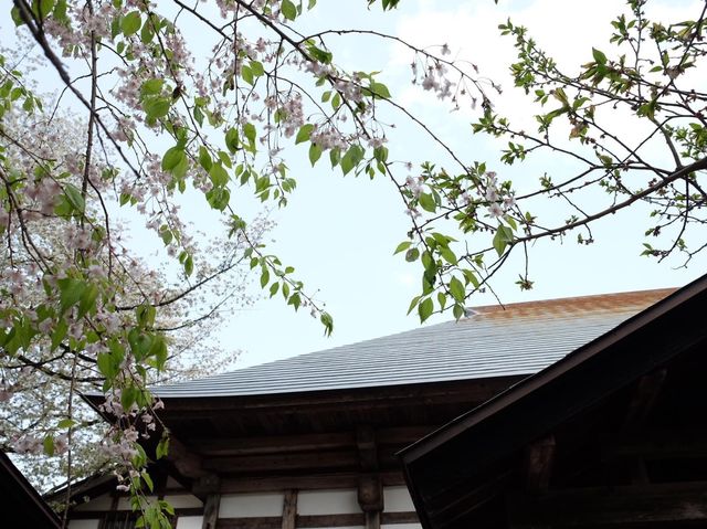 日本東北小京都古色古香《角館》