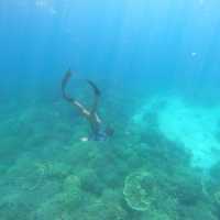 MOALBOAL- Sea Adventure