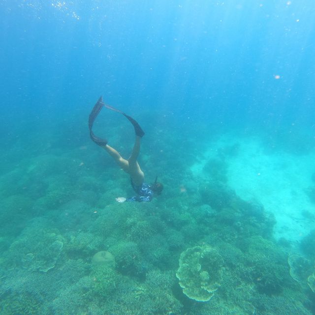 MOALBOAL- Sea Adventure