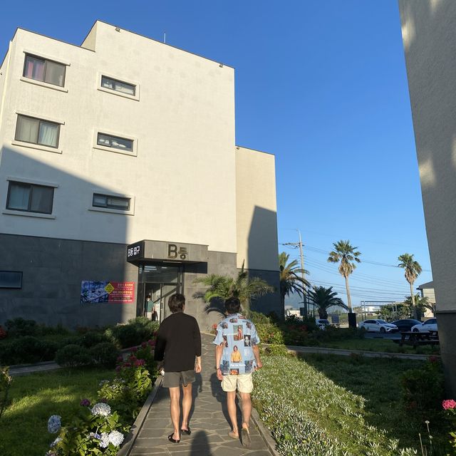 시원한 오션뷰🌊 야자수🌴가 가득한 제주도 호텔&리조트 추천!