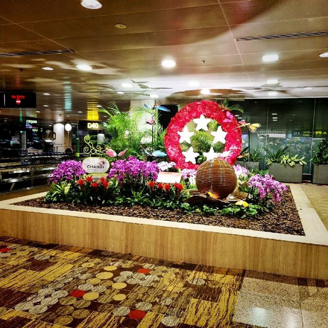 Sightseeing At Singapore Changi Airport T1