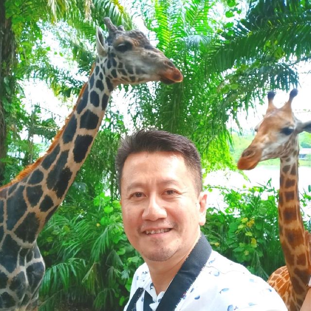 Exploring Singapore Zoo