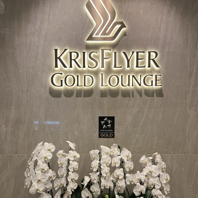 ✈️ Changi Airport lounges