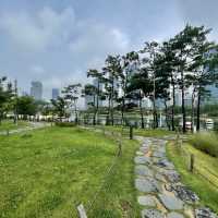 songdo Central Park in incheon is beautiful