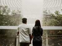 Jewel Changi Airport