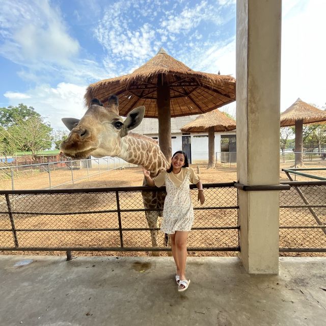 ไปหายีราฟที่บึงฉวาก 🐆🐘🦒🦓🦛🦏🐏🐪