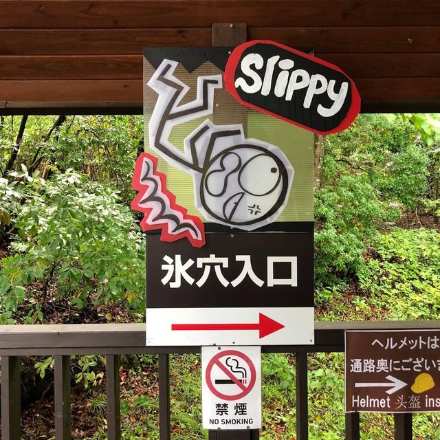 鳴沢氷穴🎥🎥富士山🗻自然遺產💓超震撼體驗