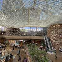 서울에 응카페가 있다고?