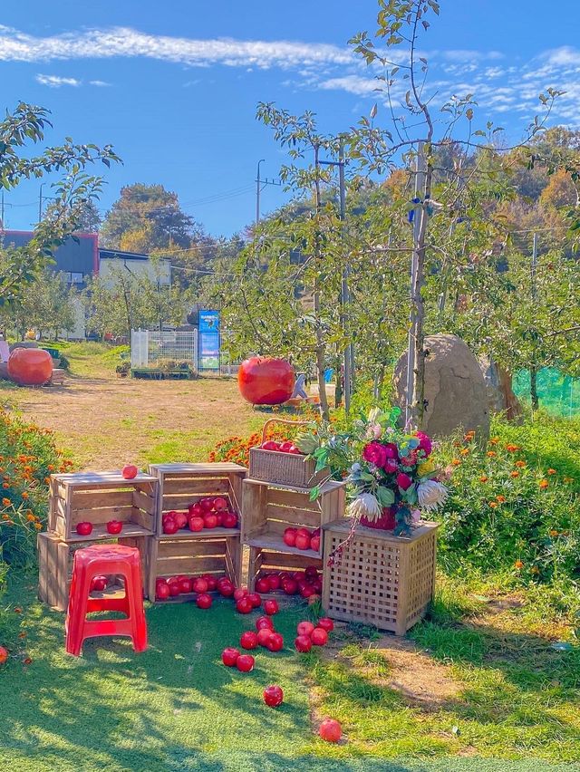 포천 이색 데이트코스 추천 🍎사과깡패