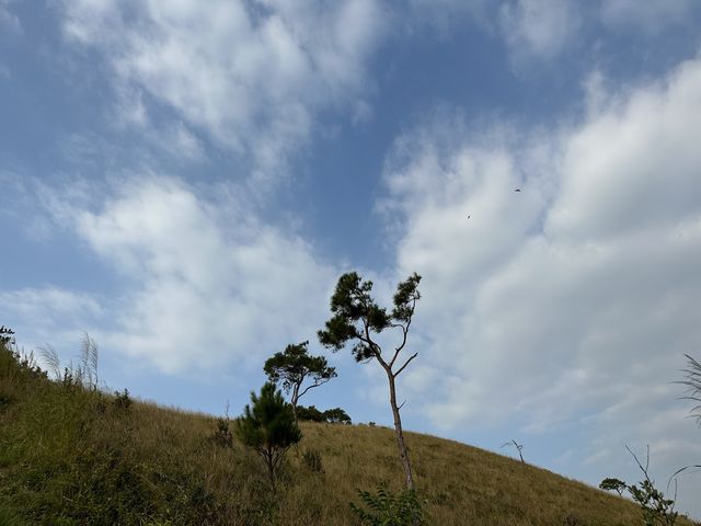 大澳虎山日落🌄
