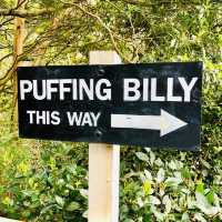 Puffing Billy Train Ride Experience