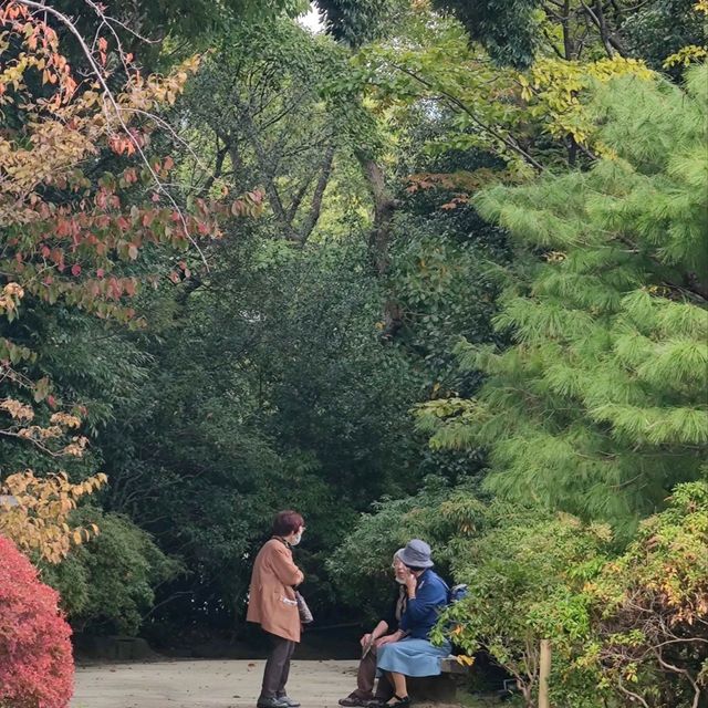Nagoya's Hidden gem, a garden!  Nagoya's Hidden gem, a garden!