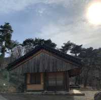 팔공산 말고 비슬산