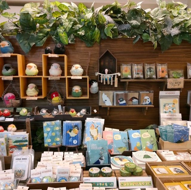 【大阪 東心斎橋】バードカフェで癒されちゃう🐦