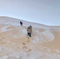 몽골 홍고르엘스 사막 ⛰🔥