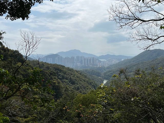 香港仔郊野公園