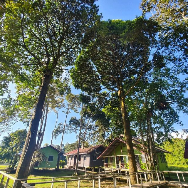 Stay near to forest, Eat near to River