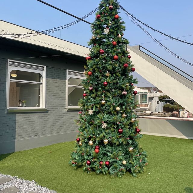 찾았다 수원 행궁동 트리맛집—🎄⠀