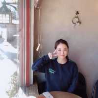 강원도로 떠나는 즐거운 겨울여행