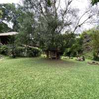 ร้านคาเฟ่ลับๆในป่า บรรยากาศธรรมชาติ