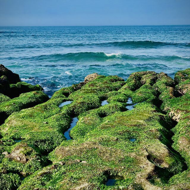 石門老梅石槽 一抹綠 讓人驚豔大自然的傑作！🌊