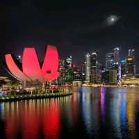 Night View from Helix Bridge