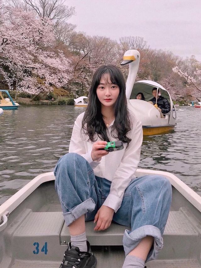 벚꽃 시즌엔 동화같은 "이노카시라 공원"으로 !