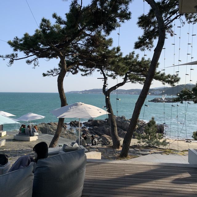 부산 기장 뷰맛집 대형 카페 [웨이브온🏖]