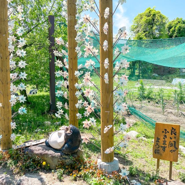かざはやの里に行ってきました🚗 ³₃