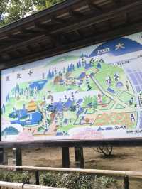 【京都】金閣寺はやっぱりすごい！