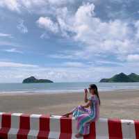 ชิวทะเลเล่นกับลิงถ่ายรูปเครื่องบิน
