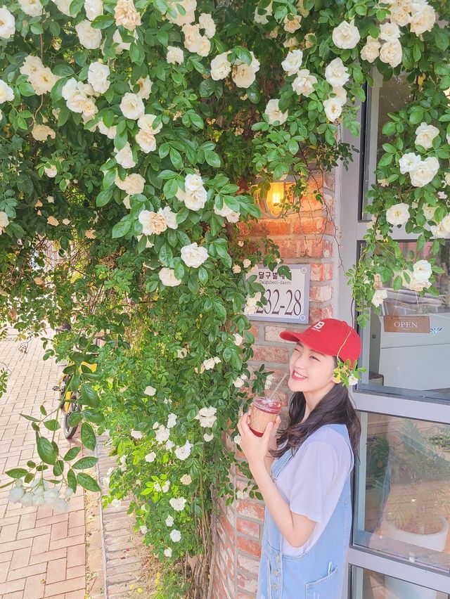 골목골목 예쁜장미담벼락이 한가득♥️