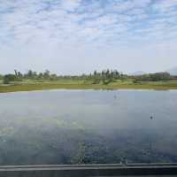 濕地公園