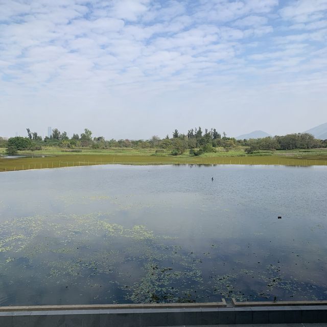 濕地公園 濕地公園
